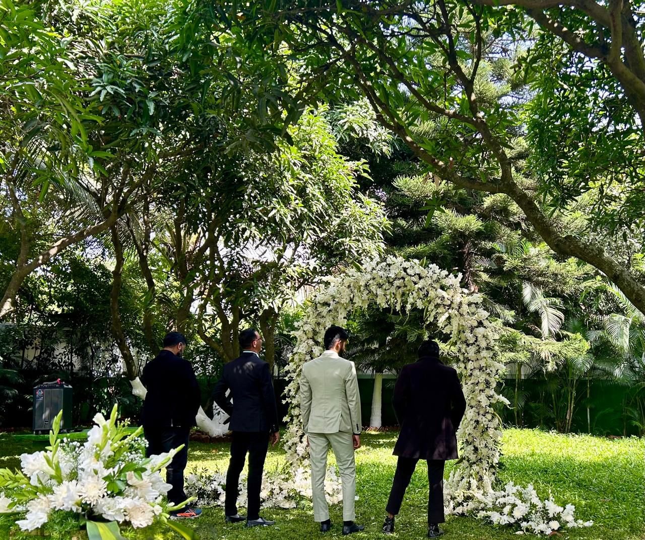 Under The Mango Trees night event